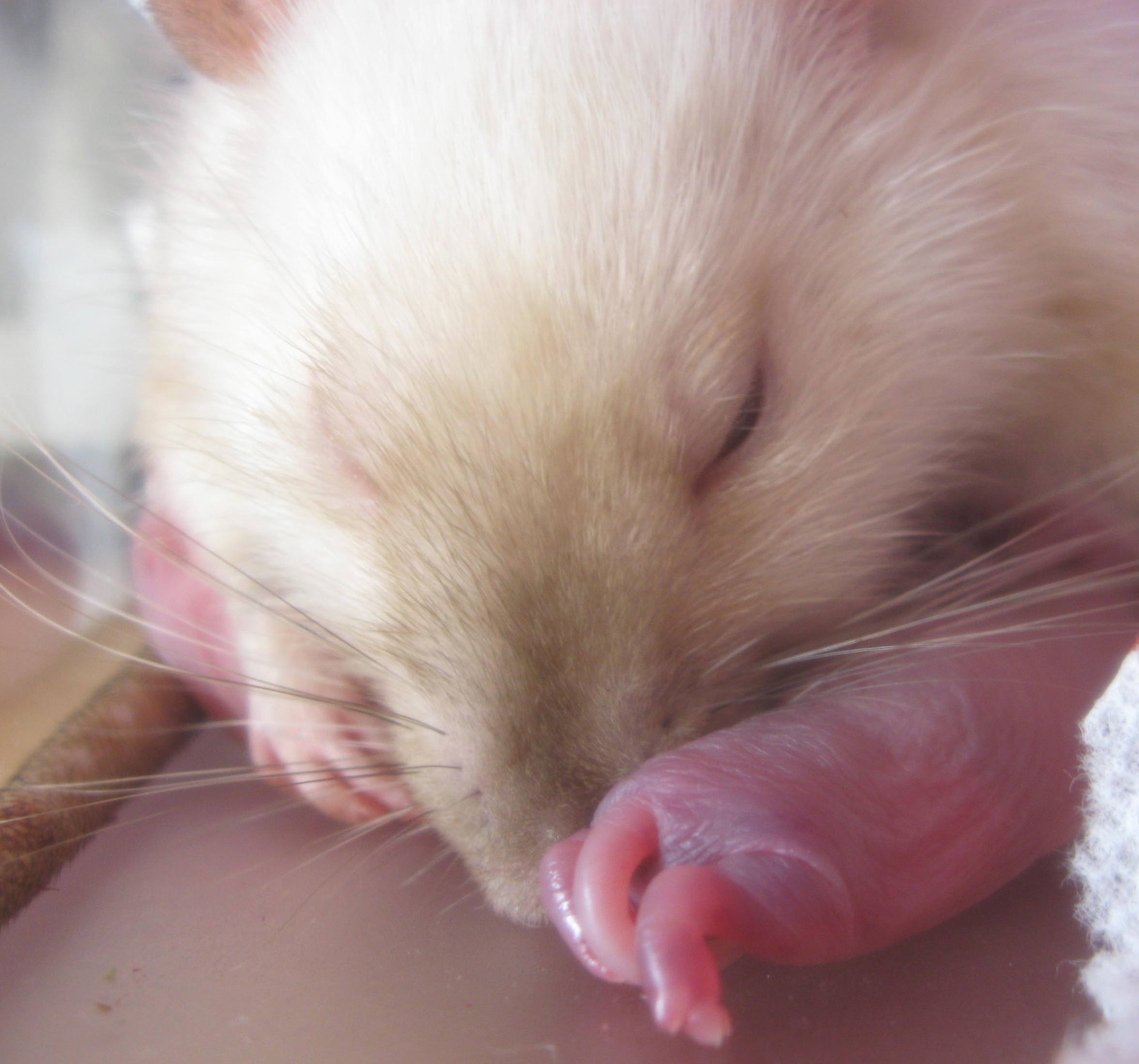 img_1714cropped.jpg